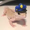 Crime bork - @kelseyflaherty2 - TikTok