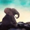 Kelsey Gallant - @kelsey.gallant8 - TikTok
