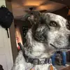 kelseyhackbart - @kelseyhackbart - TikTok