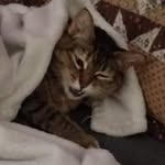 Kelsey Huffman - @kamikaze_chou - Instagram