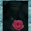 kelseyy_kline21 - @kelseyy_kline21 - TikTok