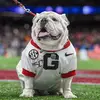 kelseymccall542 - @kelseymccall542 - TikTok