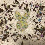 Kelsea Rose McFadden - @kelseashomebakedgoods - Instagram