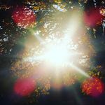 Kelsey McGregor - @kelsey.mcgregor.photography - Instagram