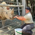 Kelsey McLean 🦏 - @kmac_andcheese - Instagram