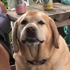 Kelsey McShane - @kelseymcshane.16 - TikTok