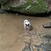 kelseymeredith4 - @itz.kelsey117 - TikTok