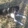 Kels - @kelseymuller6 - TikTok