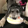 Kelsey - @kelsey..werthmuller - TikTok