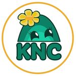 Kelsey Noel Creations - @kelseynoelcreations - Instagram