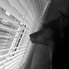 Kelsey poole - @o.xkelseypoole - TikTok