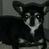 Kelseys backup 🐒 - @kelsey.powers07 - TikTok
