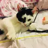Kelsey - @singlepringlekelsey30067 - TikTok