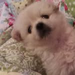 kelsey_queen - @kelseyhand3434 - Instagram