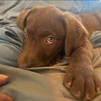 Kelsey Roberson - Facebook