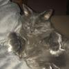Kelsey Ruggles711 - @krugs11 - TikTok