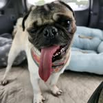 @kelsey.scanlon - Instagram