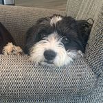 Kelsey Scanlon - @one_cool_mom - Instagram