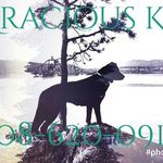 Kelsey Slaughter - @graciousk9 - Instagram