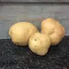 Kelseybaksteen - @potatosalt - TikTok