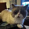 kelseysumner423 - @kmariesumwhere - TikTok