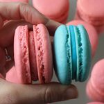 Kelsey Tanner - @bakedwithlovemacarons - Instagram