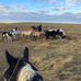 Kelsey Ranch - Facebook