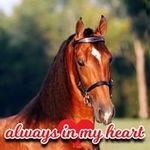 Kelsey Wright - @klwright07 - Instagram