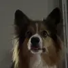Kelsi - @kelsidawnn - TikTok
