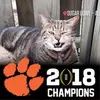 Kelsie Berg957 - @kelsieberg957 - TikTok