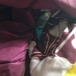 Kelsie Paige Freeman - @aflac73 - Instagram