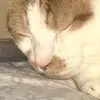 keslie - @kelsie.freeman - TikTok