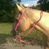 Kelsey Kidd - @kelseykidd - TikTok