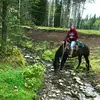 Kelsie Ryan - @kelsieryan84 - TikTok
