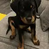 Kelsie Scott - @kelsie.scott5 - TikTok