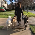 Kelsey Webster - @detroitdogpack - Instagram