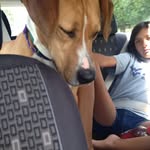 Kelsie Workman - @kelsieworkman12 - Instagram