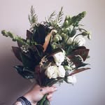 Kelsy Hill - @lionthewitchandthefloordrobe - Instagram