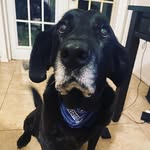 kelvin Bennett - @bennettkelvin191 - Instagram