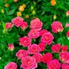Kelvin Gerald - @kelvin.gerald - TikTok