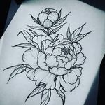 kelvin hao - @kelvinhao9 - Instagram