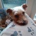 Kelvin Holt - Facebook