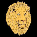 Kelvin - @kelvin_lemon2 - Instagram