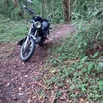 Kelvin Orrala - @orralakelvin - Instagram