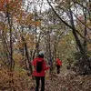 ひなた - @kelvinroach327 - TikTok
