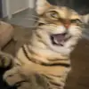 Kelvin self - @kelvin.self - TikTok