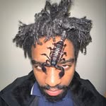 Kelvin Wiley🕷 - @kelvinwiley - Instagram