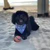 kenaikenai37 - @kenaikenai37 - TikTok