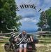 Kenny Albert - Facebook
