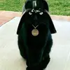 kenallard908 - @kenallard908 - TikTok
